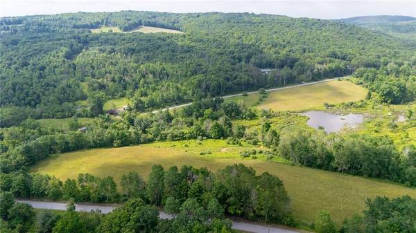 Scoville Rd, Dansville, NY 14437