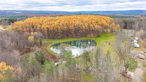 7632 Centerville RD, Houghton, NY 14744