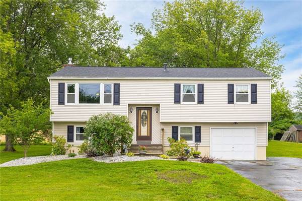 1964 Paddy Ln