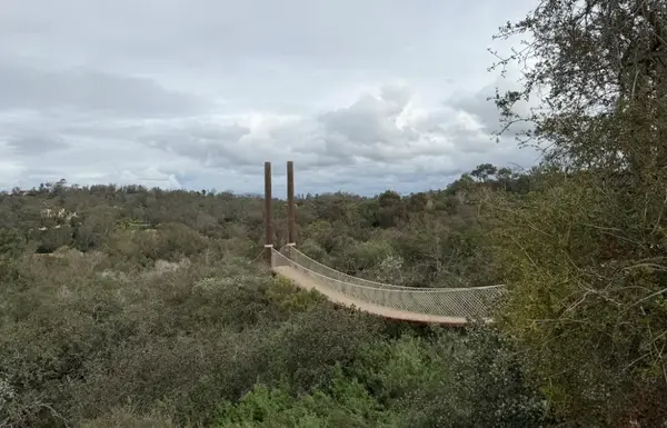 d3
