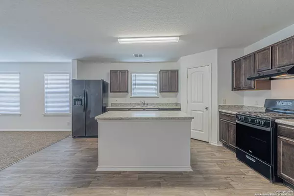 14740 Hooded Merganser, San Antonio, TX 78253