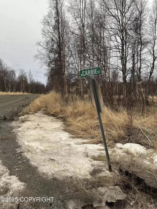 6234 N Carrie ST, Wasilla, AK 99645