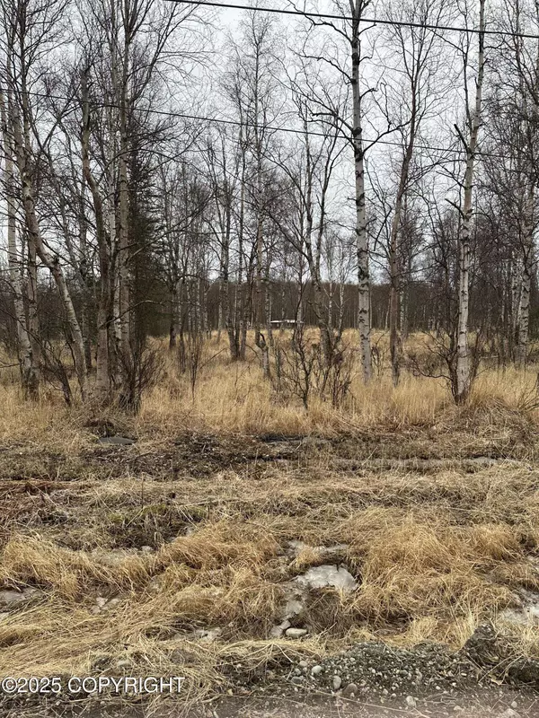 6234 N Carrie ST, Wasilla, AK 99645