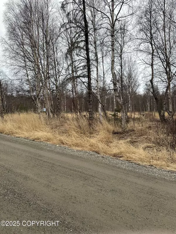 6234 N Carrie ST, Wasilla, AK 99645