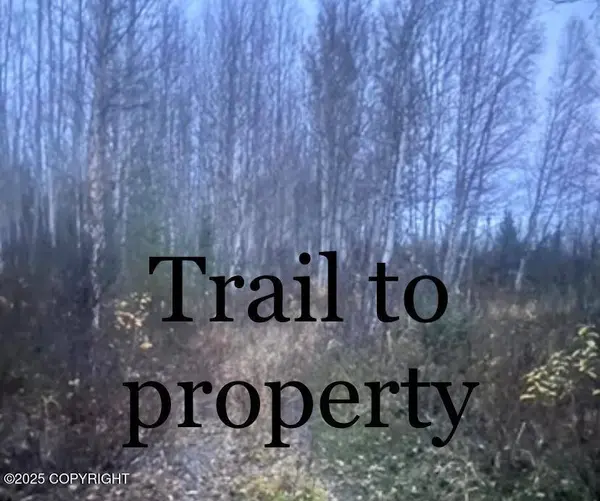 C007 No Road, Wasilla, AK 99623