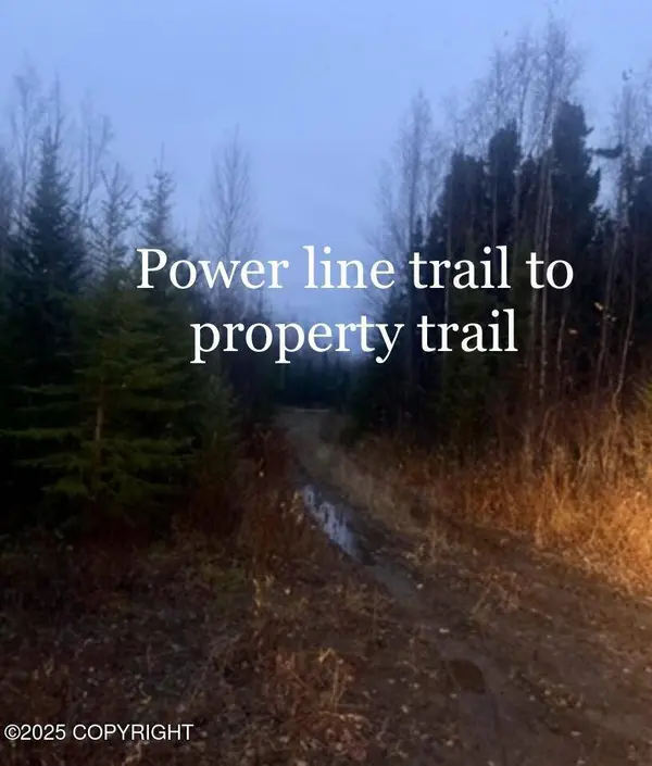 C007 No Road, Wasilla, AK 99623