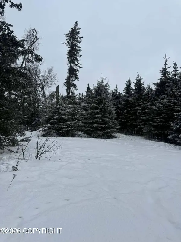 2815,2817, 2819 Iliamna RD, Kenai, AK 99611