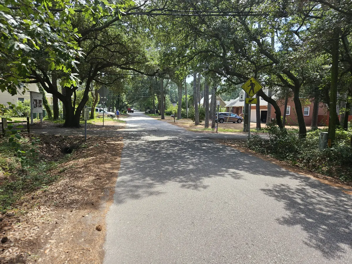 sandalwood-looking-south