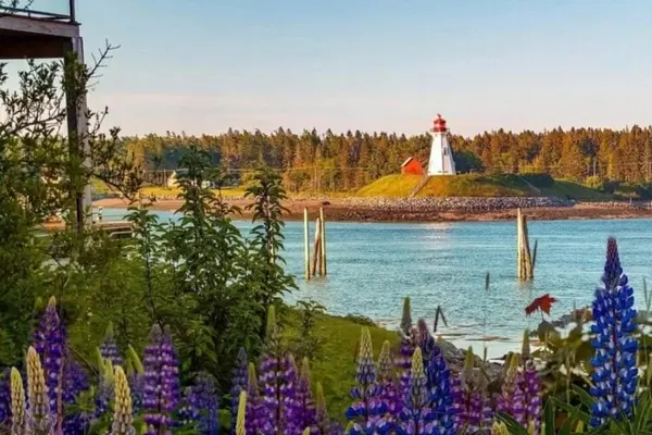 feature image of Spring Market in Maine 2026: What Buyers and Sellers Should Expect