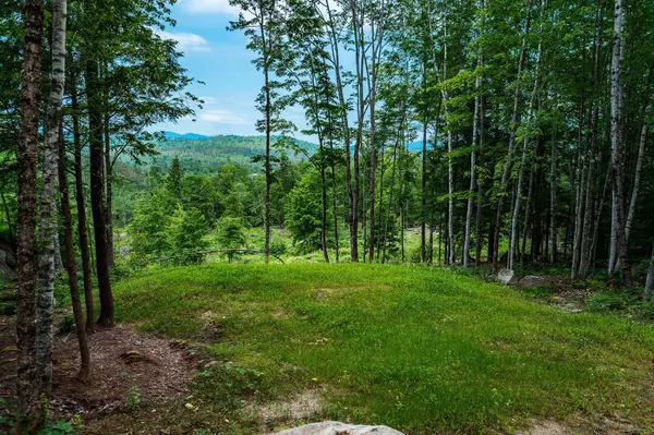Lot 62 Bird Hill RD, Bethel, ME 04219