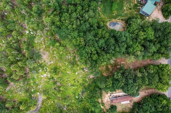 Lot 62 Bird Hill RD, Bethel, ME 04219