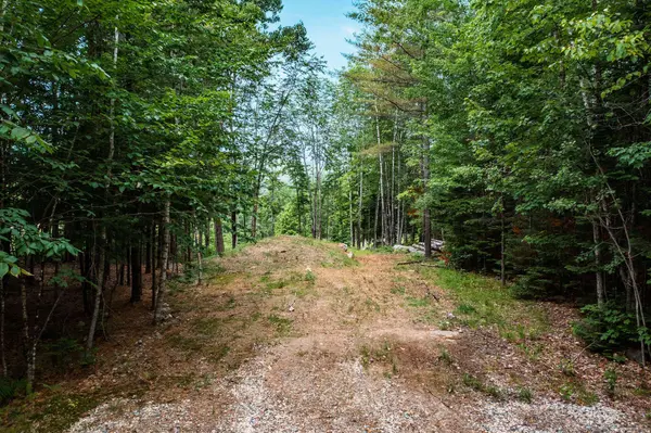 Lot 62 Bird Hill RD