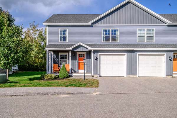 10 Snow Goose LN #10