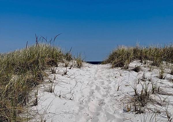 101 Wingaersheek Rd, Gloucester, MA 01930