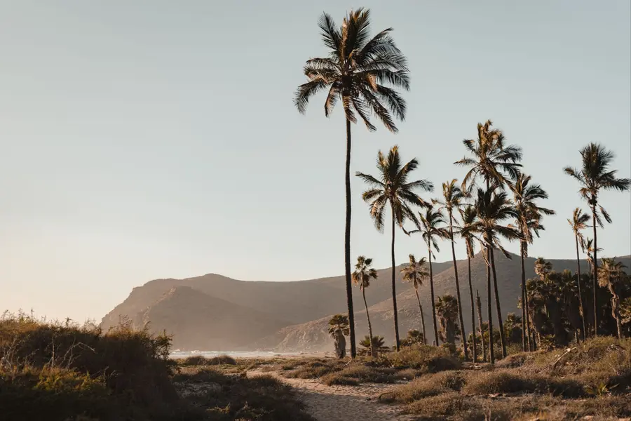 Todos Santos