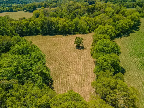 4283 Turkey Creek Rd, Williamsport, TN 38487