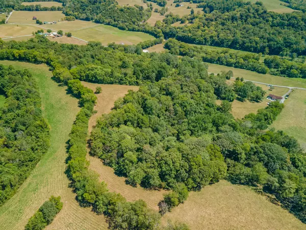 4283 Turkey Creek Rd, Williamsport, TN 38487