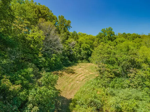 4283 Turkey Creek Rd, Williamsport, TN 38487