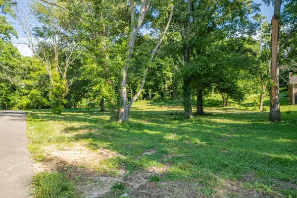0 Cayce Valley Dr, Columbia, TN 38401