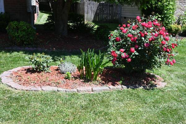 1602 Zurich Dr, Spring Hill, TN 37174