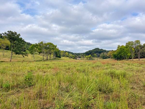 4704 Allen Harlan Rd, Hampshire, TN 38461