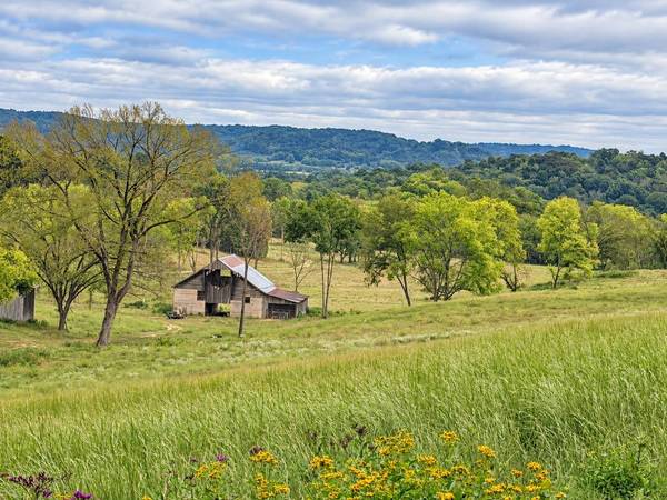 4704 Allen Harlan Rd, Hampshire, TN 38461