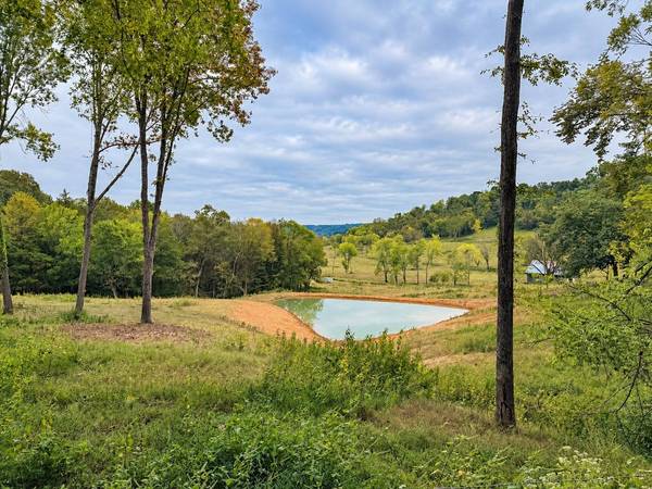 4704 Allen Harlan Rd, Hampshire, TN 38461