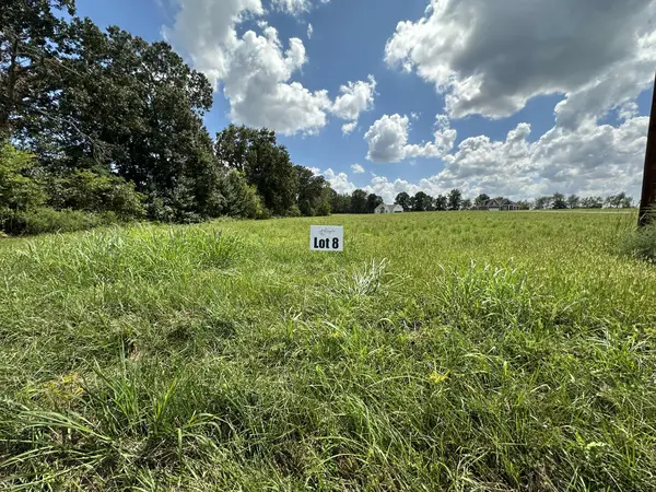 Lot 8