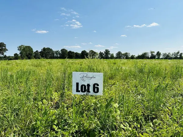 338 Dugout Road, Summertown, TN 38483
