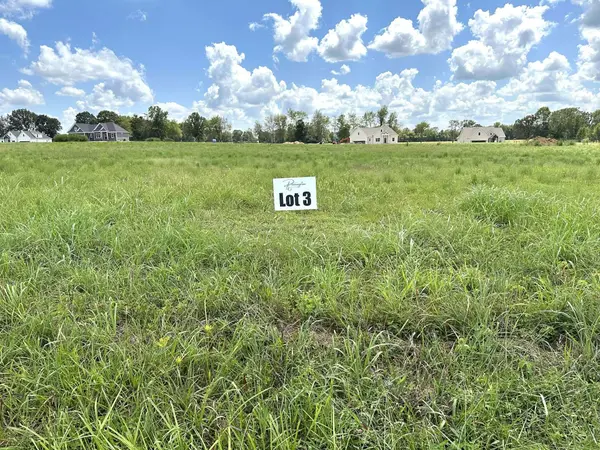 260 Dugout Road, Summertown, TN 38483
