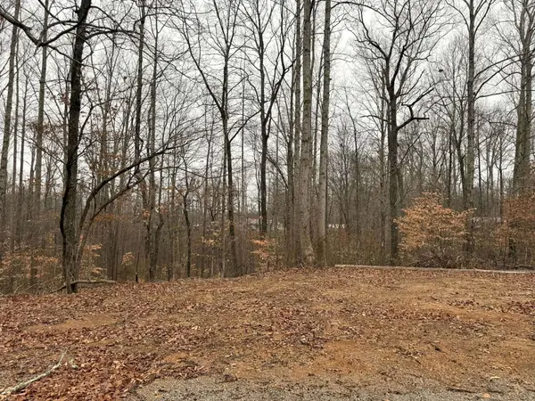 0 Periwinkle Path, Leoma, TN 38468