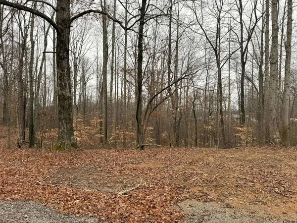 0 Periwinkle Path, Leoma, TN 38468