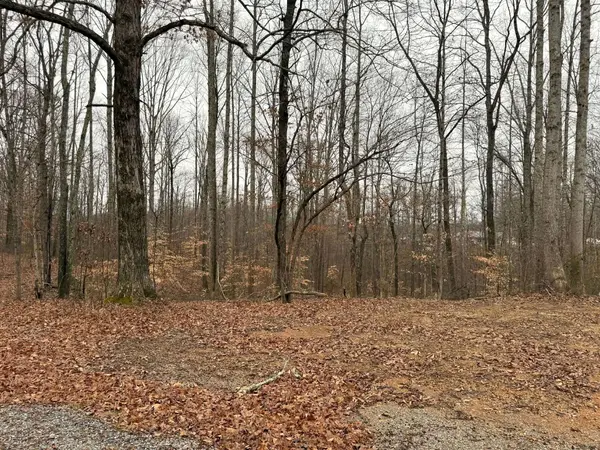 0 Periwinkle Path, Leoma, TN 38468