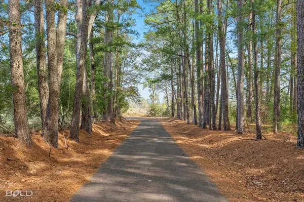 0 Pierce Road, Logansport, LA 71049