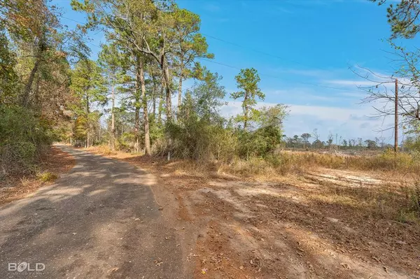 0 Pierce Road, Logansport, LA 71049