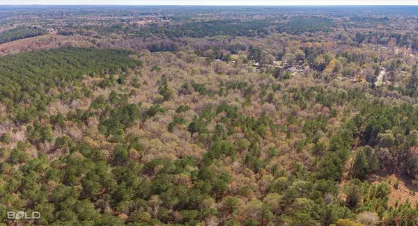 0 Camelia Street, Vivian, LA 71082