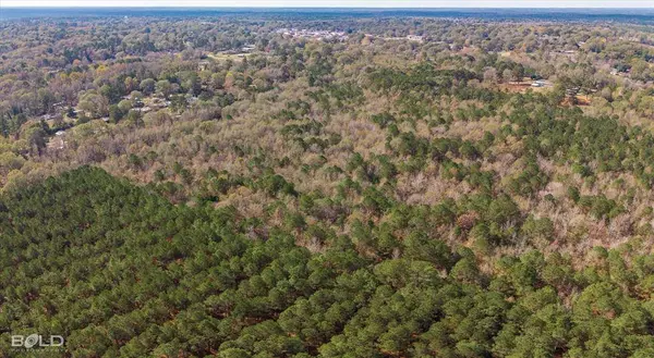 0 Camelia Street, Vivian, LA 71082