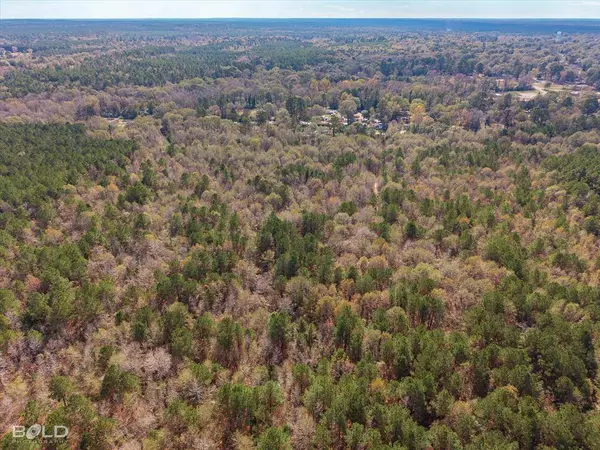 0 Camelia Street, Vivian, LA 71082