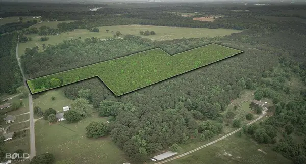 0 Boothville Road, Doyline, LA 71023