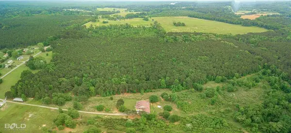 0 Boothville Road, Doyline, LA 71023