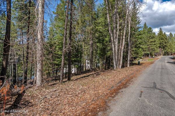 NNA Hanaford Rd., Blanchard, ID 83804