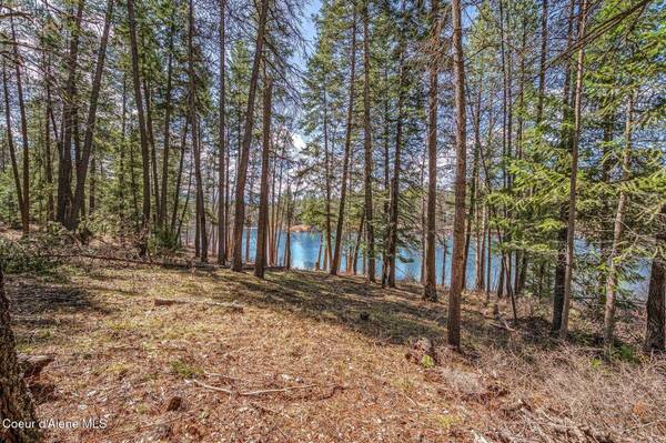 NNA Hanaford Rd., Blanchard, ID 83804