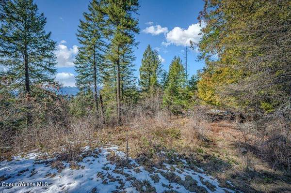 NNA S Idaho Club DR C6, Sandpoint, ID 83864