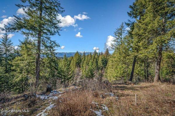 NNA S Idaho Club DR C6, Sandpoint, ID 83864