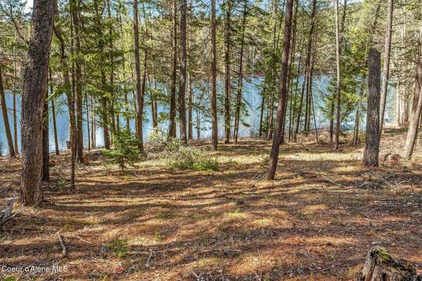 NNA Hanaford Rd (Lot 11), Blanchard, ID 83804
