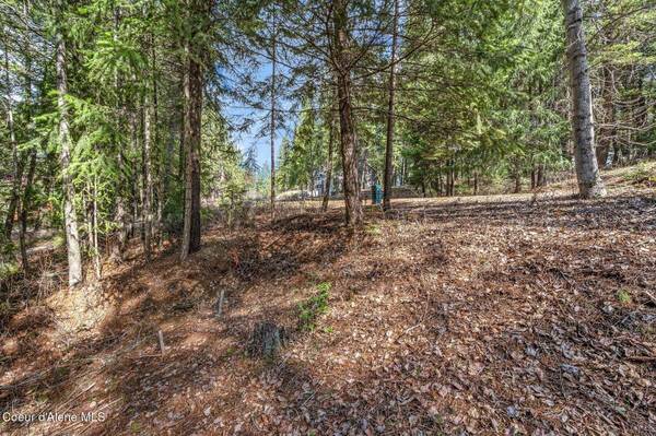 NNA Hanaford Rd (Lot 11), Blanchard, ID 83804