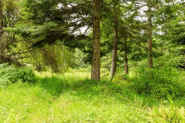 Buying Land on Whidbey Island: What You Should Know 