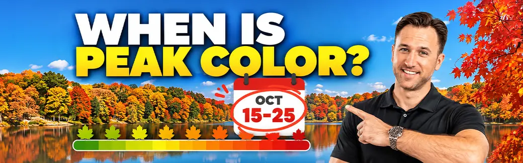 The Ultimate Southeast Michigan Fall Color Tour (2026 Local’s Guide)