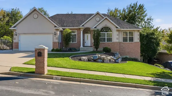 161 SHANNON DR