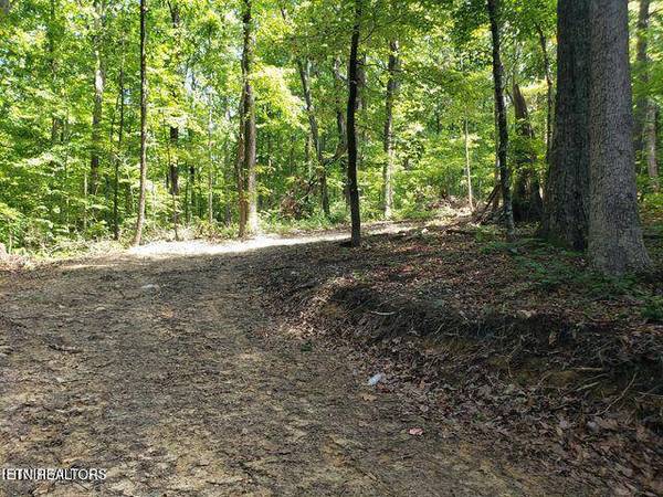 1511 Prettiest Sunset WAY, Seymour, TN 37865